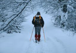 Trekkers of India